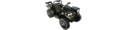Quad Bike